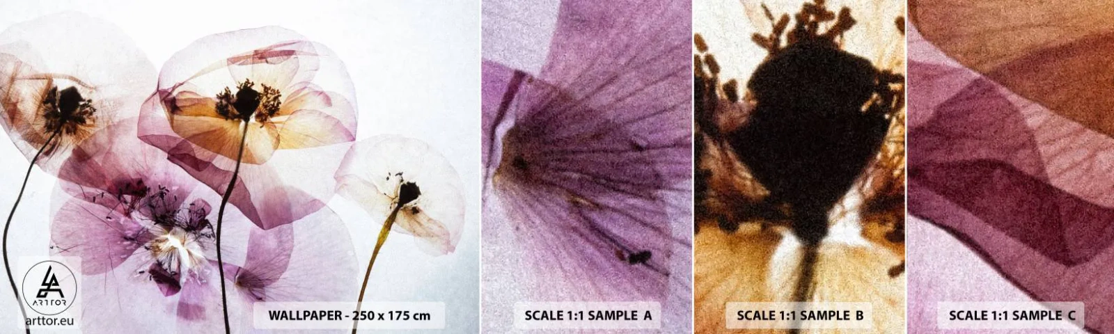 Échantillon de Papier Peint Autocollant Deluxe Sticker - Corps de fleurs transparente - Fleurs, Jardin, Morceau - 100x30 cm