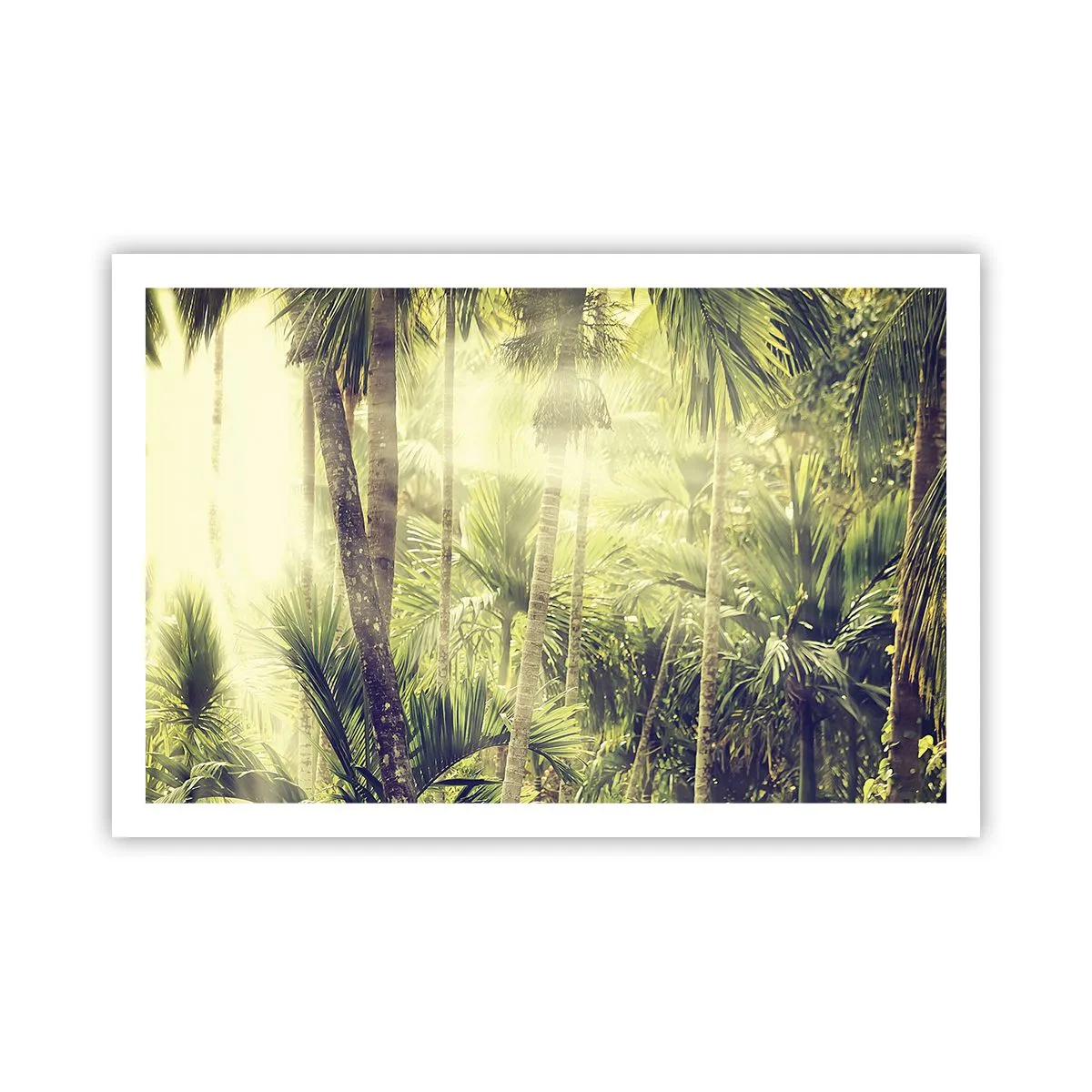 Affiche - Poster - Nature enflammée - 91x61 cm