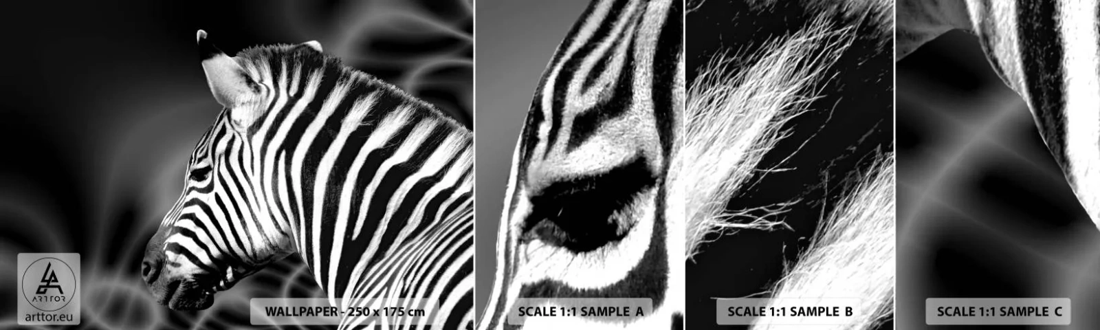 Échantillon De Papier Peint Standard Eco - Blanc c'est blanc et noir c'est noir - Côtes, Noir et blanc, Animaux - 100x30 cm