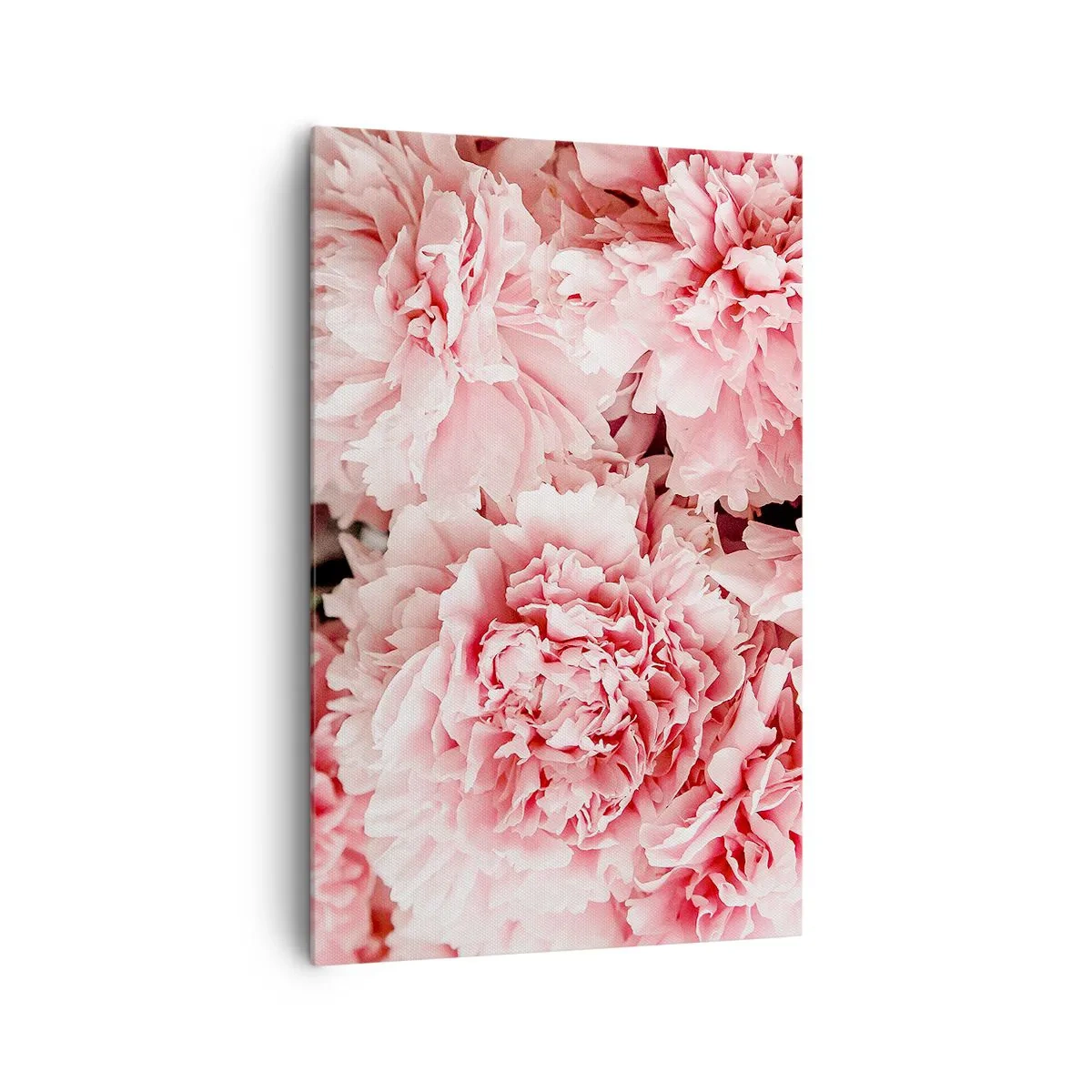 Impression sur toile - Image sur toile - Pivoines roses subtiles dans un décor délicat - 80x120cm - Rêve rose - Décoration murale moderne pour le salon et la chambre ARTTOR