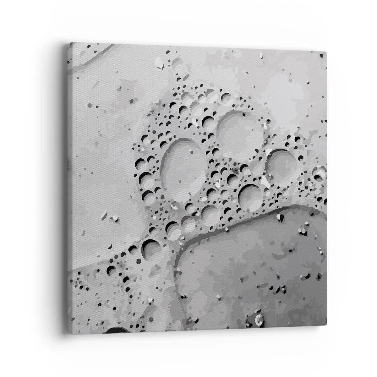 Impression sur toile - Image sur toile - Sentier de mousse - 40x40 cm