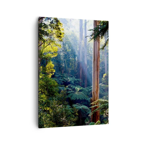 Impression sur toile - Image sur toile - Forêt tropicale illuminée par les rayons du soleil - 50x70cm - Fable de la forêt - Décoration murale moderne pour le salon et la chambre ARTTOR