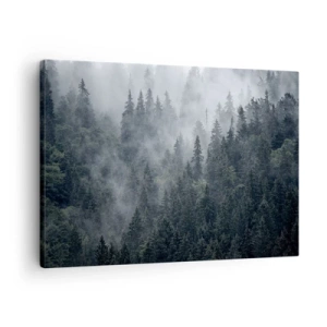 Impression sur toile - Image sur toile - Forêt de conifères brumeuse aux tons gris et verts - 70x50cm - Aube de la forêt - Décoration murale moderne pour le salon et la chambre ARTTOR