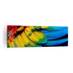 Impression sur toile - Image sur toile - Gros plan des plumes colorées d'un perroquet - 160x50cm - Oiseau de paradis - Décoration murale moderne pour le salon et la chambre ARTTOR