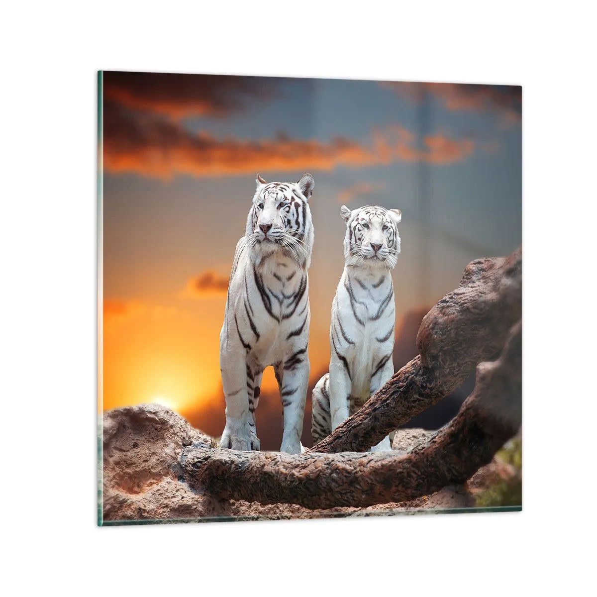 Impression sur verre - Image sur verre - Tout comme à Narnia - 40x40 cm