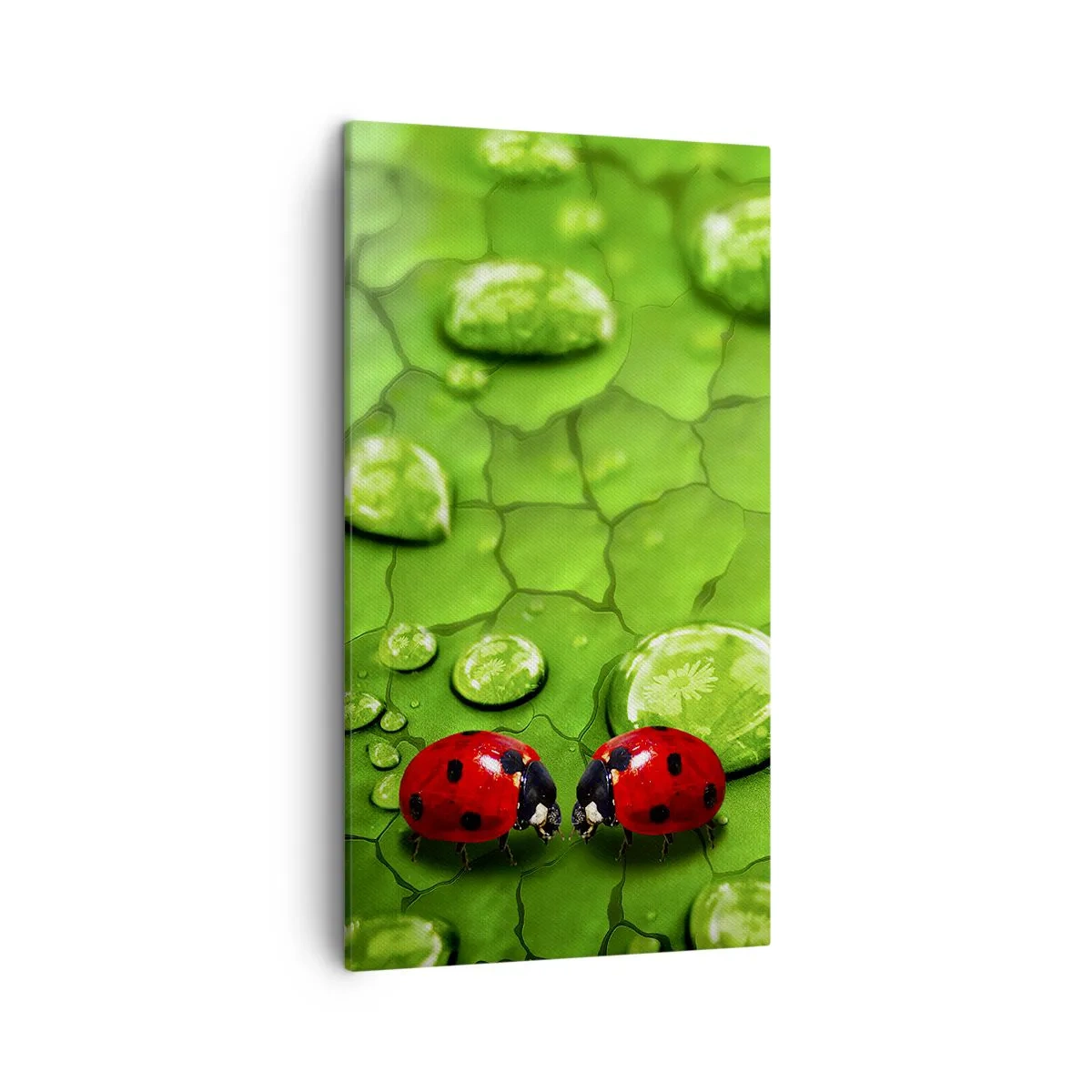 Impression sur toile - Image sur toile - Rendez-vous au vert - 45x80 cm