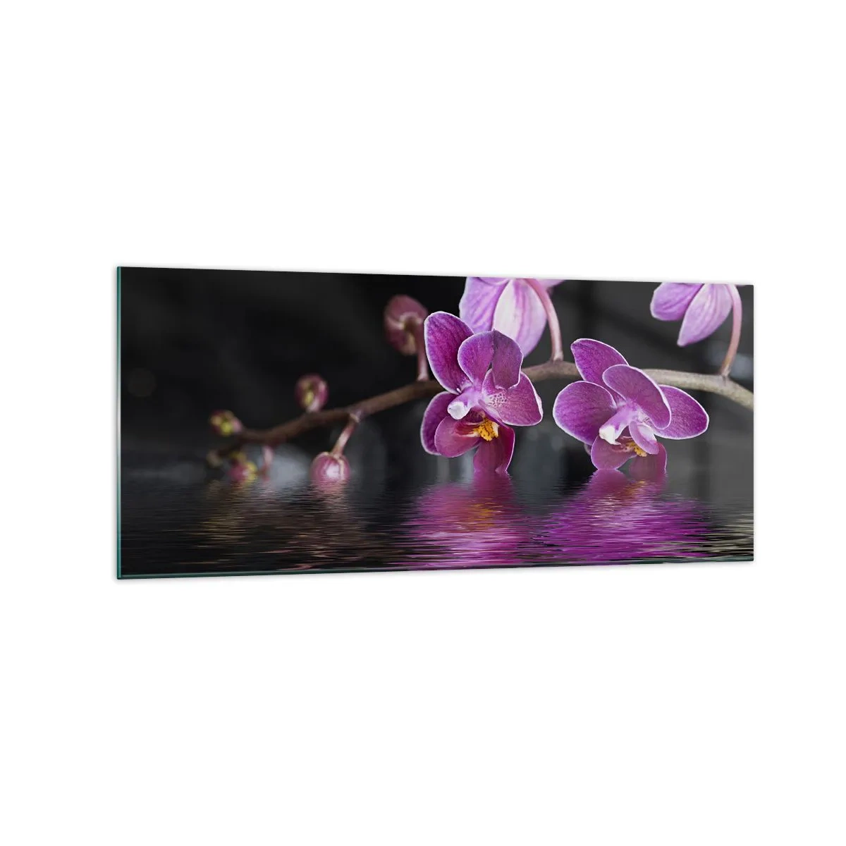 Impression sur verre - Image sur verre - Orchidées violettes sur une eau calme sur fond noir - 120x50cm - Reflet lilas de la beauté - Décoration murale moderne pour le salon et la chambre ARTTOR