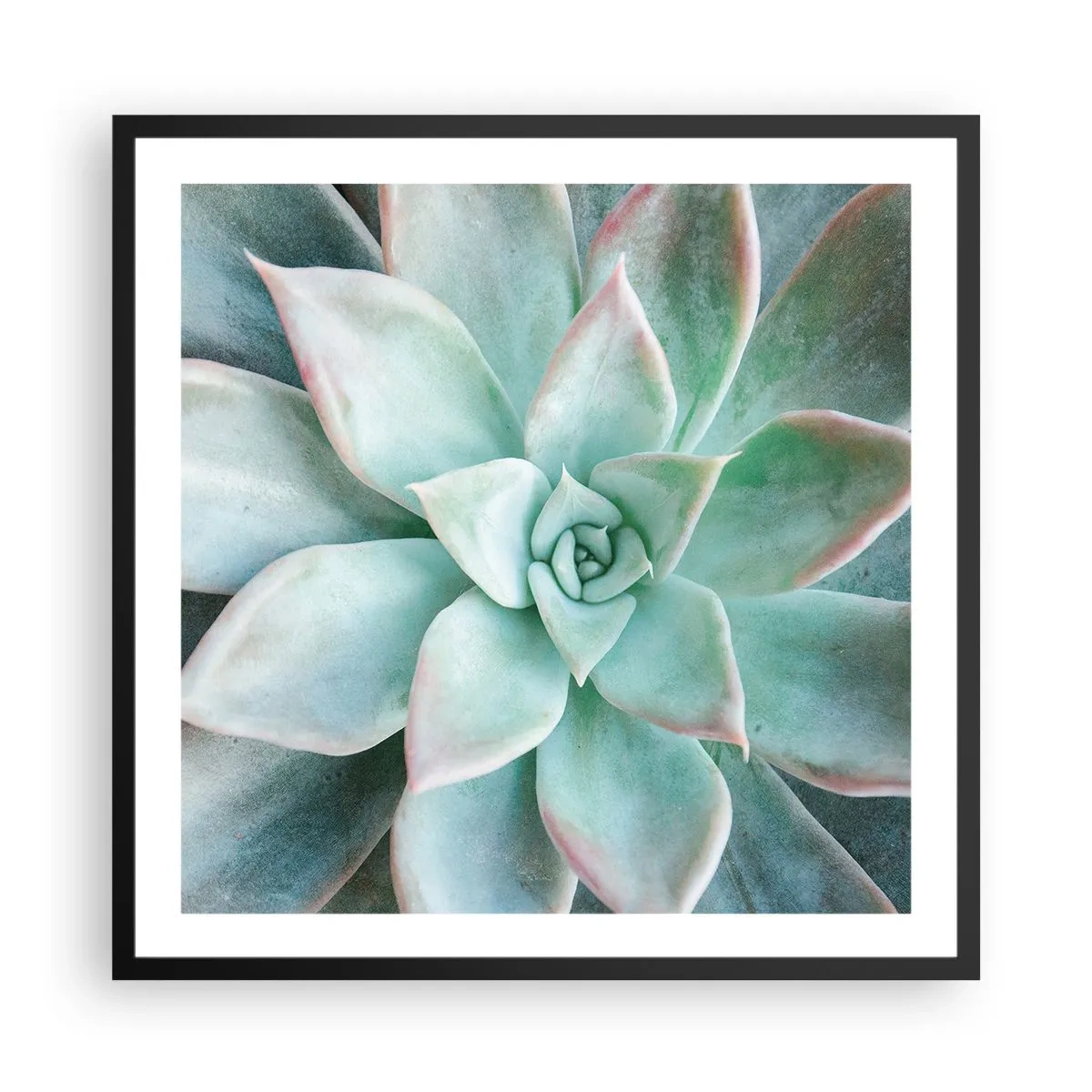 Affiche dans un cadre noir - Poster - Le coeur du désert - 60x60 cm