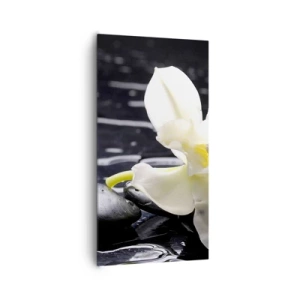 Impression sur toile - Image sur toile - Étude en noir et blanc - 65x120 cm