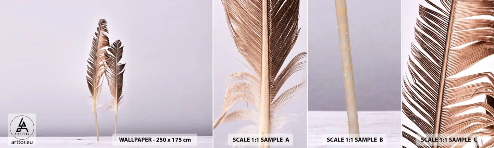 Échantillon De Papier Peint Standard Eco - Face au néant - Plume d'oiseau, Morceau, Graphique - 100x30 cm