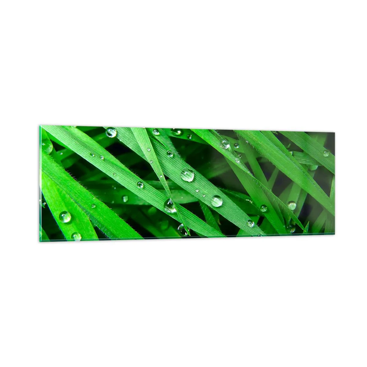 Impression sur verre - Image sur verre - Jouez dans le vert - 90x30 cm