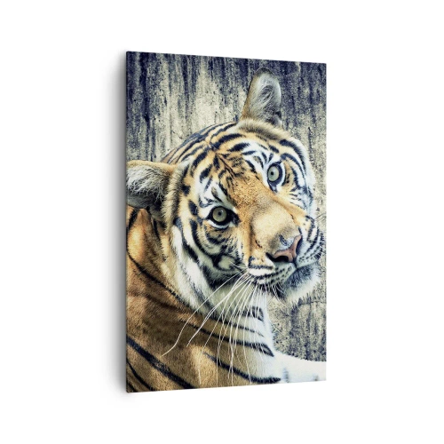 Impression sur toile - Image sur toile - Un tigre couché contre un mur à la texture rugueuse - 80x120cm - Portrait dans les flots de lumière - Décoration murale moderne pour le salon et la chambre ARTTOR