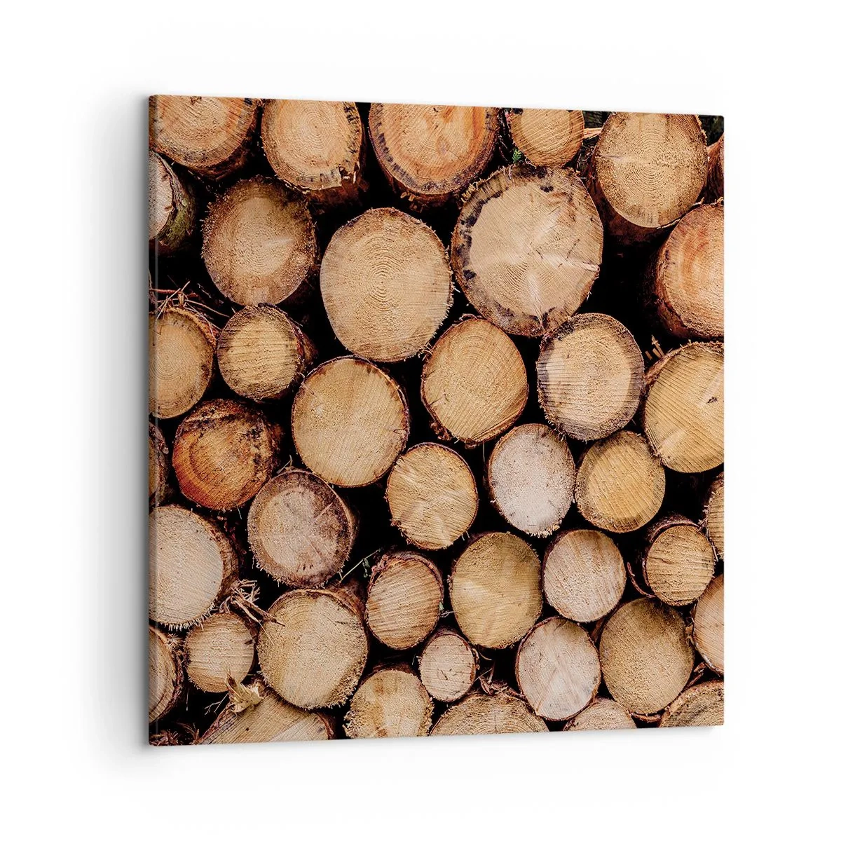 Impression sur toile - Image sur toile - Nouveau commencement - 50x50 cm