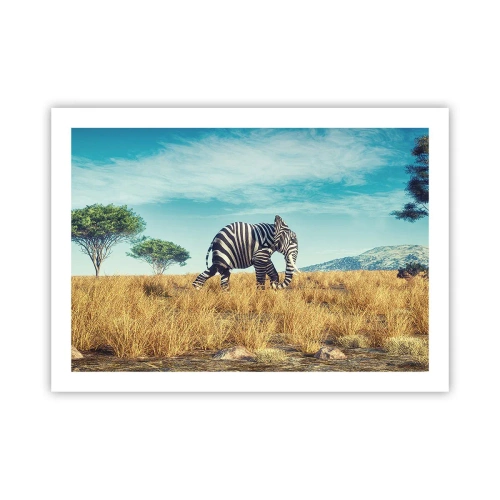 Affiche - Poster - Le gris n'est déjà plus à la mode - 70x50 cm