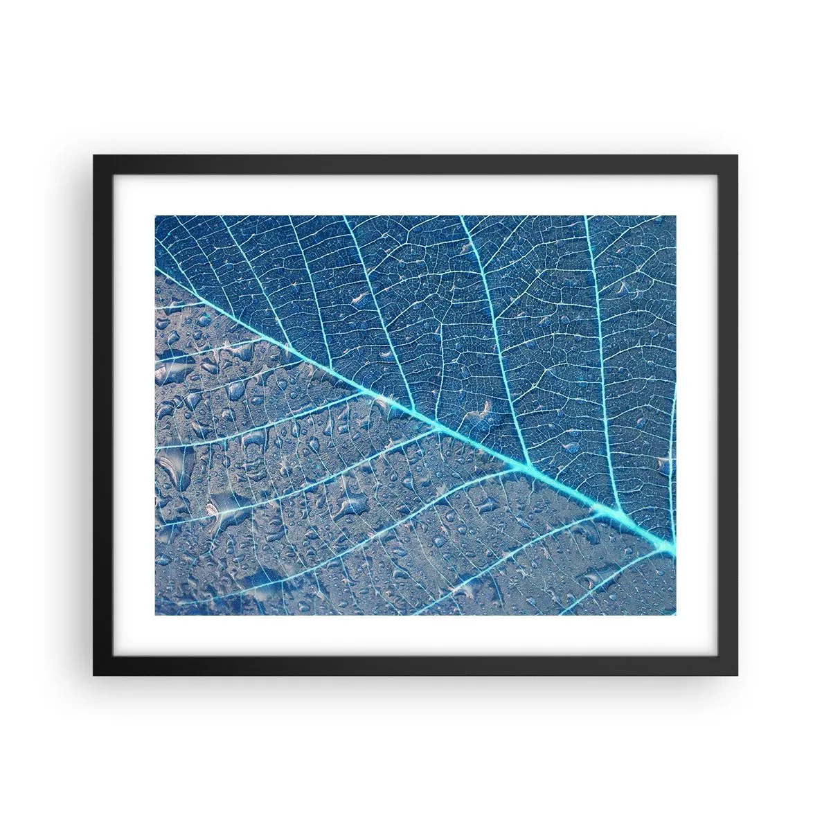 Affiche dans un cadre noir - Poster - La vie en bleu - 50x40 cm