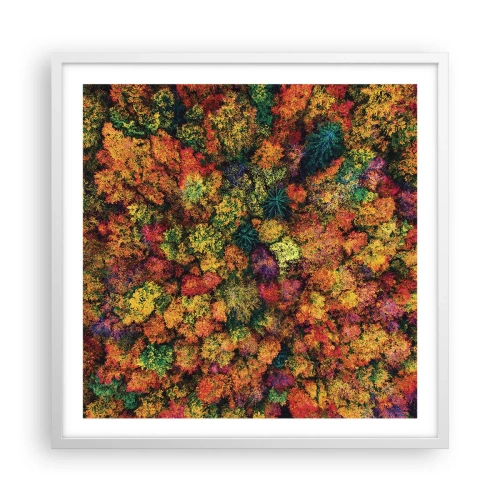 Affiche dans un cadre blanc - Poster - Bouquet d'arbres automnal - 60x60 cm