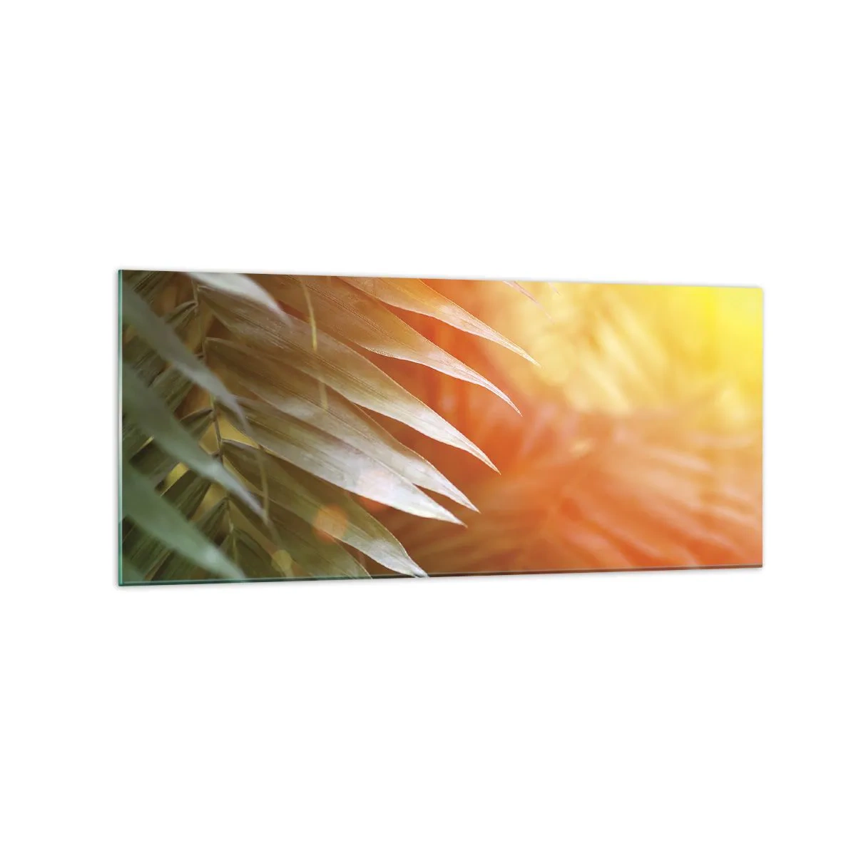 Impression sur verre - Image sur verre - Feuilles de palmier dans les rayons du soleil couchant - 120x50cm - Matinée dans la jungle - Décoration murale moderne pour le salon et la chambre ARTTOR