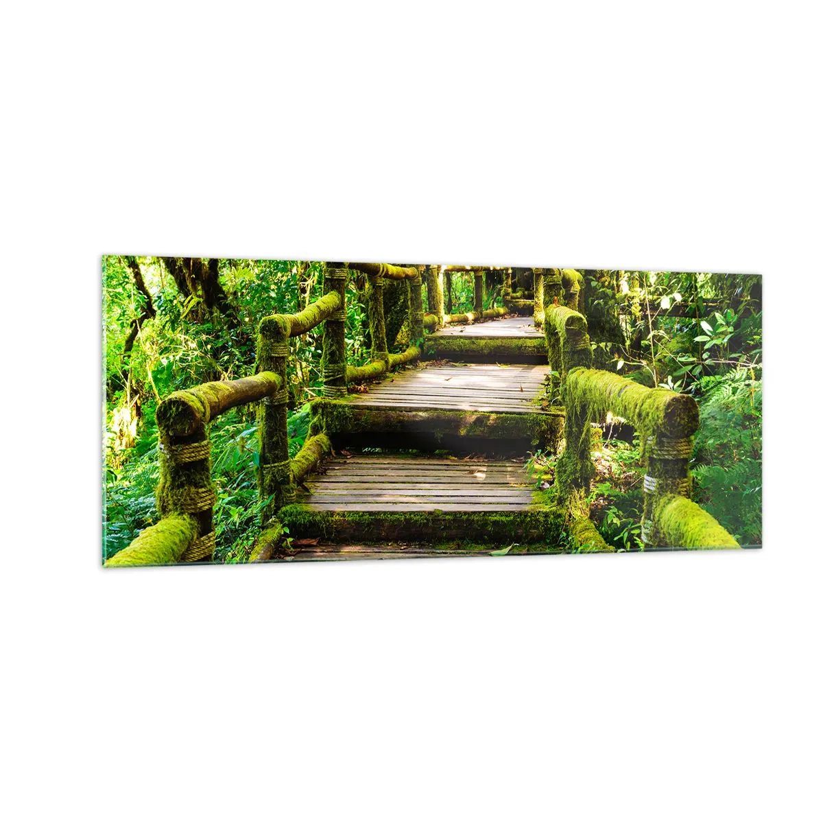 Impression sur verre - Image sur verre - Un couloir de verdure - 100x40 cm