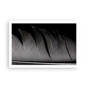 Affiche - Poster - La plume – un design magnifique - 91x61 cm