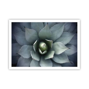 Affiche - Poster - Gros plan d'une rosette d'agave aux délicates nuances de vert - 100x70cm - Wabi et observe - Décoration murale moderne pour le salon et la chambre ARTTOR