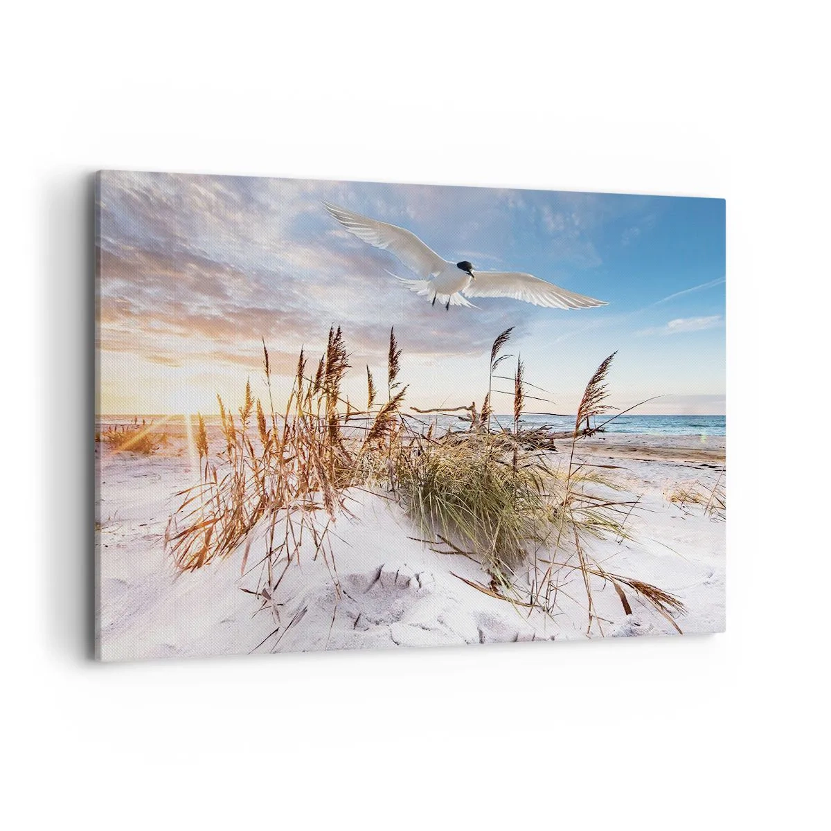 Impression sur toile - Image sur toile - Plage avec des mouettes volant au coucher du soleil - 100x70cm - Vent de mer - Décoration murale moderne pour le salon et la chambre ARTTOR