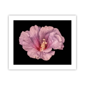 Affiche - Poster - Directement au coeur - 50x40 cm