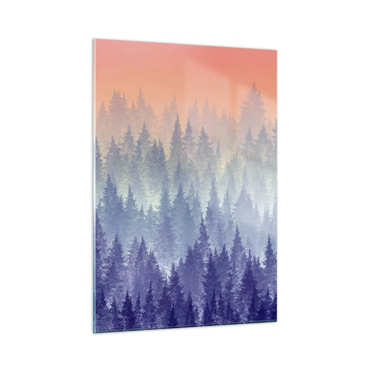 Impression sur verre - Image sur verre - Forêt de conifères mystérieuse aux tons pastel du matin - 50x70cm - Haut, plus haut, vers le ciel - Décoration murale moderne pour le salon et la chambre ARTTOR