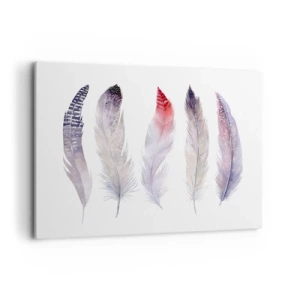 Impression sur toile - Image sur toile - Cinq plumes délicates aux tons pastel sur fond clair - 120x80cm - Délicat comme un brouillard multicolore - Décoration murale moderne pour le salon et la chambre ARTTOR