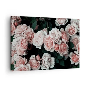 Impression sur toile - Image sur toile - Roses roses sur fond sombre dans une composition subtile - 70x50cm - Ensemble de rose - Décoration murale moderne pour le salon et la chambre ARTTOR