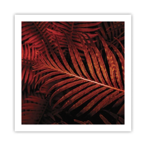 Affiche - Poster - Chaleur de la vie - 60x60 cm