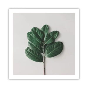 Affiche - Poster - Dessin de la nature elle-même - 60x60 cm