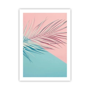 Affiche - Poster - Un palmier sur un fond de couleurs rose pastel et bleu - 50x70cm - Impression tropicale - Décoration murale moderne pour le salon et la chambre ARTTOR