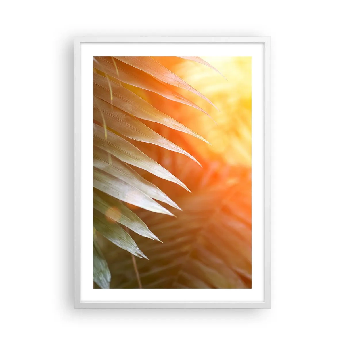 Affiche dans un cadre blanc - Poster - Matinée dans la jungle - 50x70 cm