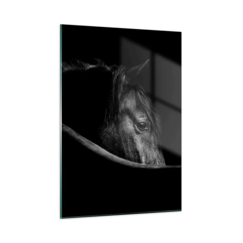 Impression sur verre - Image sur verre - Profil d'un cheval noir dans l'ombre avec un œil visible - 50x70cm - Prince Noir - Décoration murale moderne pour le salon et la chambre ARTTOR