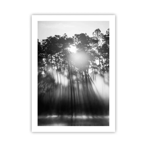 Affiche - Poster - Scène de forêt en noir et blanc avec des rayons de soleil dans le brouillard - 50x70cm - Soleil inarrêtable - Décoration murale moderne pour le salon et la chambre ARTTOR