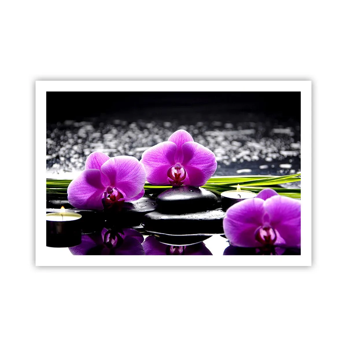 Affiche - Poster - Se noyer dans la paix et la tranquillité - 91x61 cm