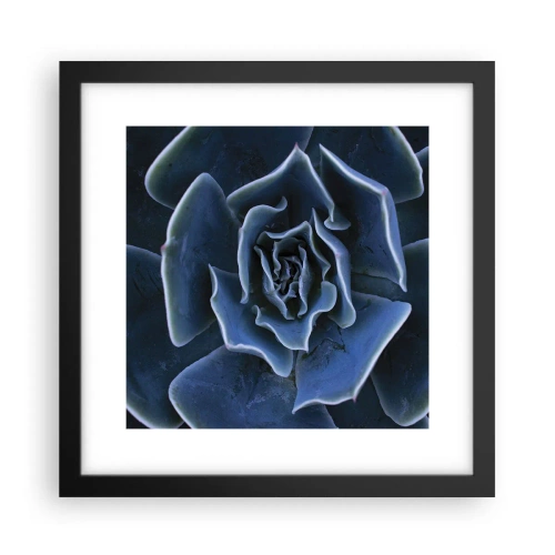 Affiche dans un cadre noir - Poster - Fleur du désert - 30x30 cm