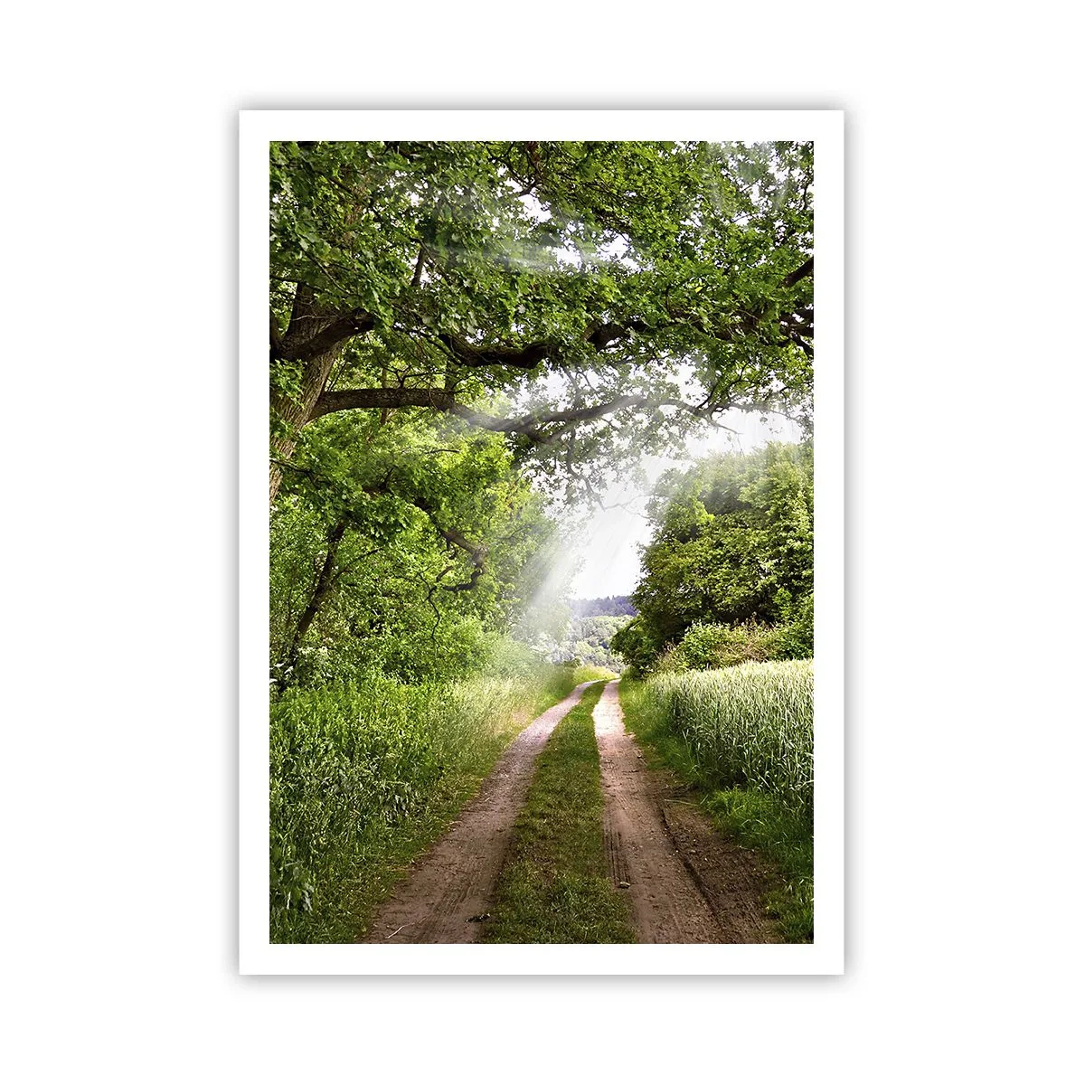 Affiche - Poster - Et in Arcadia ego - 70x100 cm