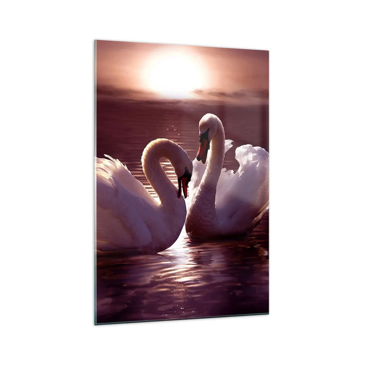 Impression sur verre - Image sur verre - Deux cygnes sur un lac calme au coucher du soleil - 70x100cm - Jusqu'à ce que la mort nous sépare - Décoration murale moderne pour le salon et la chambre ARTTOR