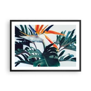 Affiche dans un cadre noir - Poster - Fleur de Strelitzia entourée de feuilles sous une lumière vive - 70x50cm - Le buisson oiseaux - Décoration murale moderne pour le salon et la chambre ARTTOR