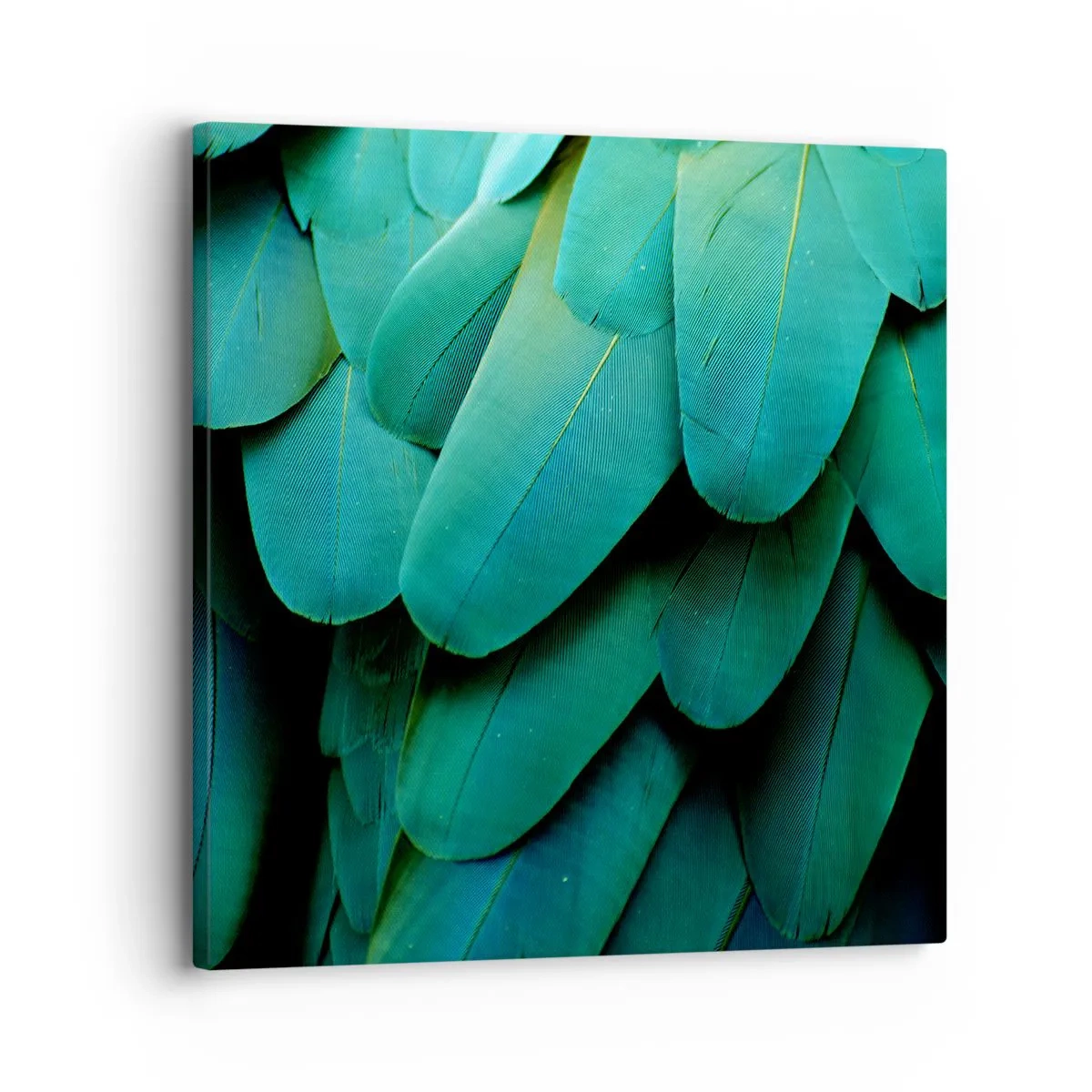 Impression sur toile - Image sur toile - Perfection de la nature du perroquet - 30x30 cm