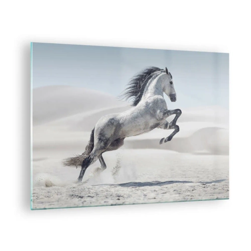 Impression sur verre - Image sur verre - Un cheval blanc bondissant sur fond de dunes du désert - 70x50cm - Prince arabe - Décoration murale moderne pour le salon et la chambre ARTTOR