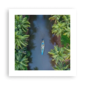 Affiche - Poster - Sur un sentier tropical - 40x40 cm