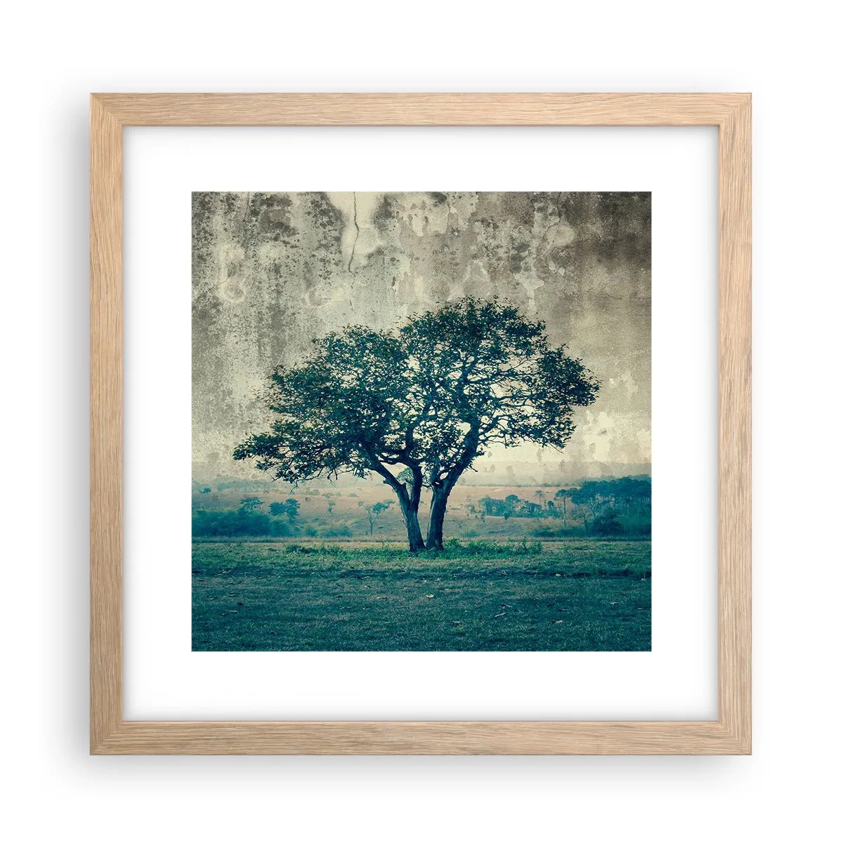 Affiche dans un chêne clair - Poster - Un pommier sur un champ bleu ? - 30x30 cm