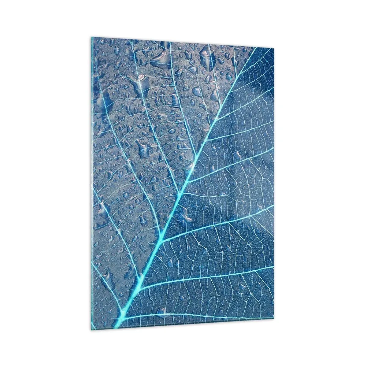 Impression sur verre - Image sur verre - Macrophotographie d'une feuille avec des gouttes d'eau dans des tons de bleu - 50x70cm - La vie en bleu - Décoration murale moderne pour le salon et la chambre ARTTOR