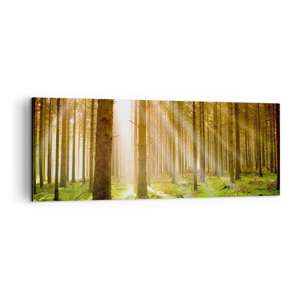 Impression sur toile - Image sur toile - Forêt de conifères avec les rayons du soleil qui brillent à travers les arbres - 140x50cm - Les elfes vont bientôt apparaître - Décoration murale moderne pour le salon et la chambre ARTTOR