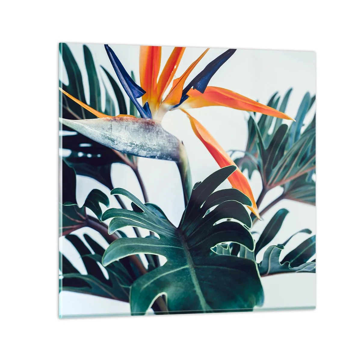 Impression sur verre - Image sur verre - Le buisson oiseaux - 30x30 cm