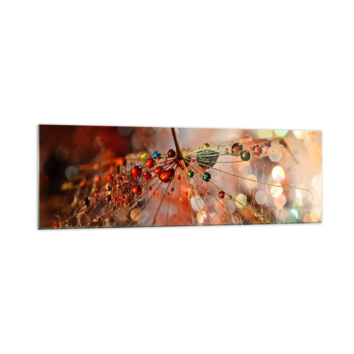 Impression sur verre - Image sur verre - Macrophotographie d'une goutte d'eau sur une plante délicate - 160x50cm - Enfilé sur un fil d'araignée - Décoration murale moderne pour le salon et la chambre ARTTOR