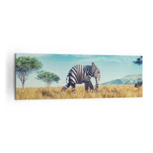 Impression sur toile - Image sur toile - Zèbre dans un paysage africain - 160x50cm - Le gris n'est déjà plus à la mode - Décoration murale moderne pour le salon et la chambre ARTTOR