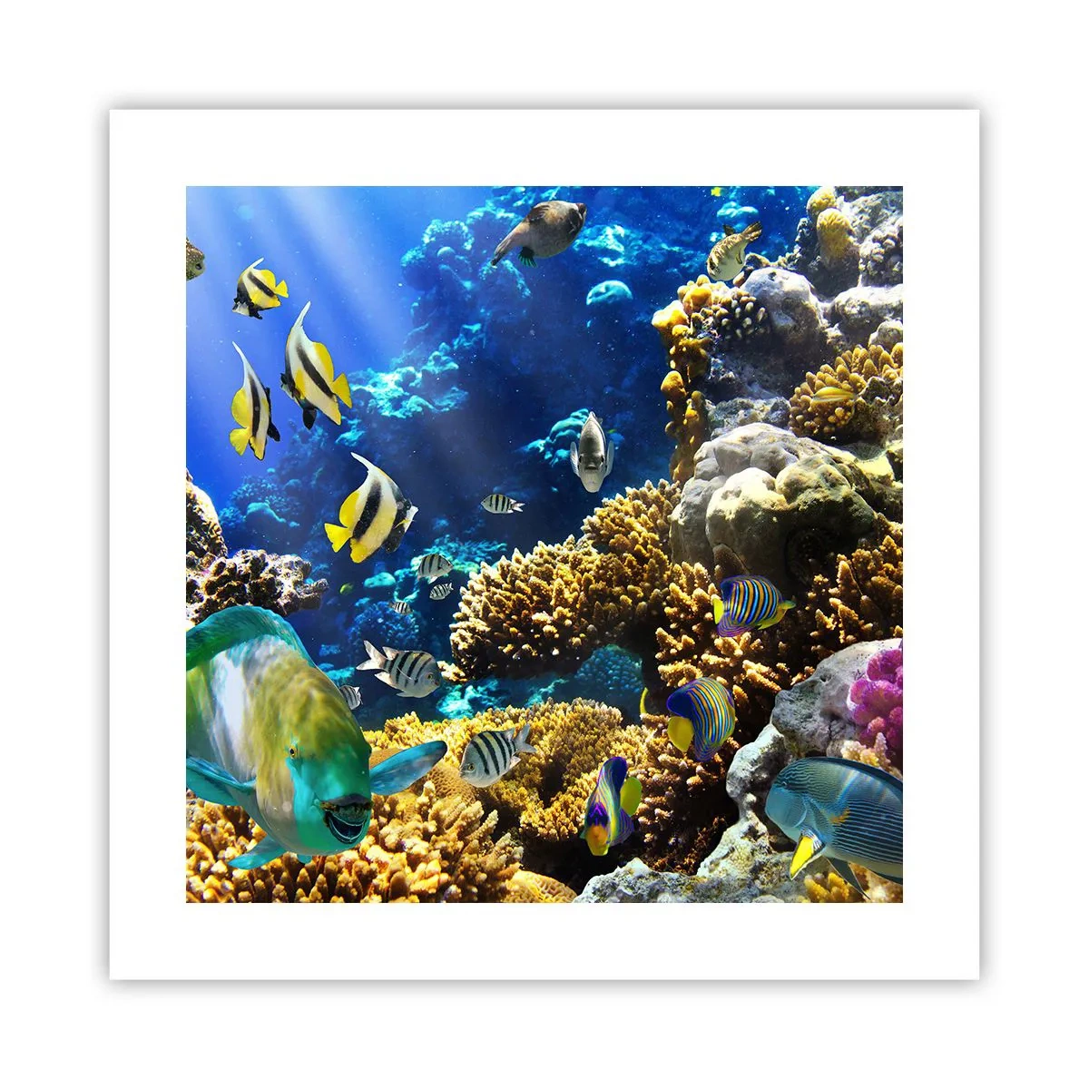 Affiche - Poster - Beaucoup de circulation sur la route des vacances - 40x40 cm